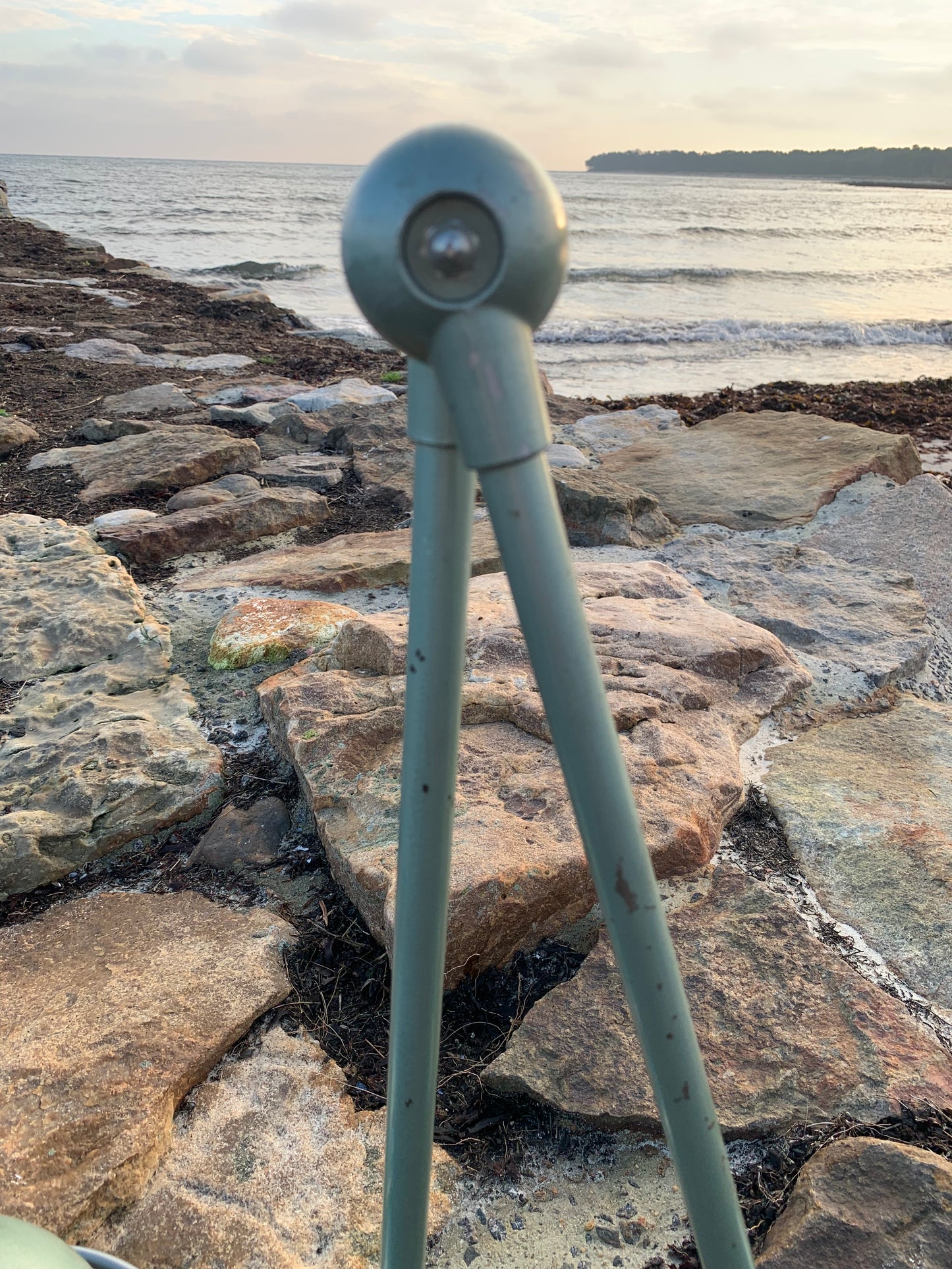 Jieldé Wand-/Deckenleuchte mit zwei Armen - Grün