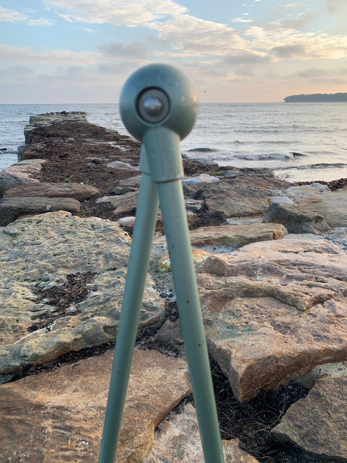 Jieldé Wand-/Deckenleuchte mit zwei Armen - Grün