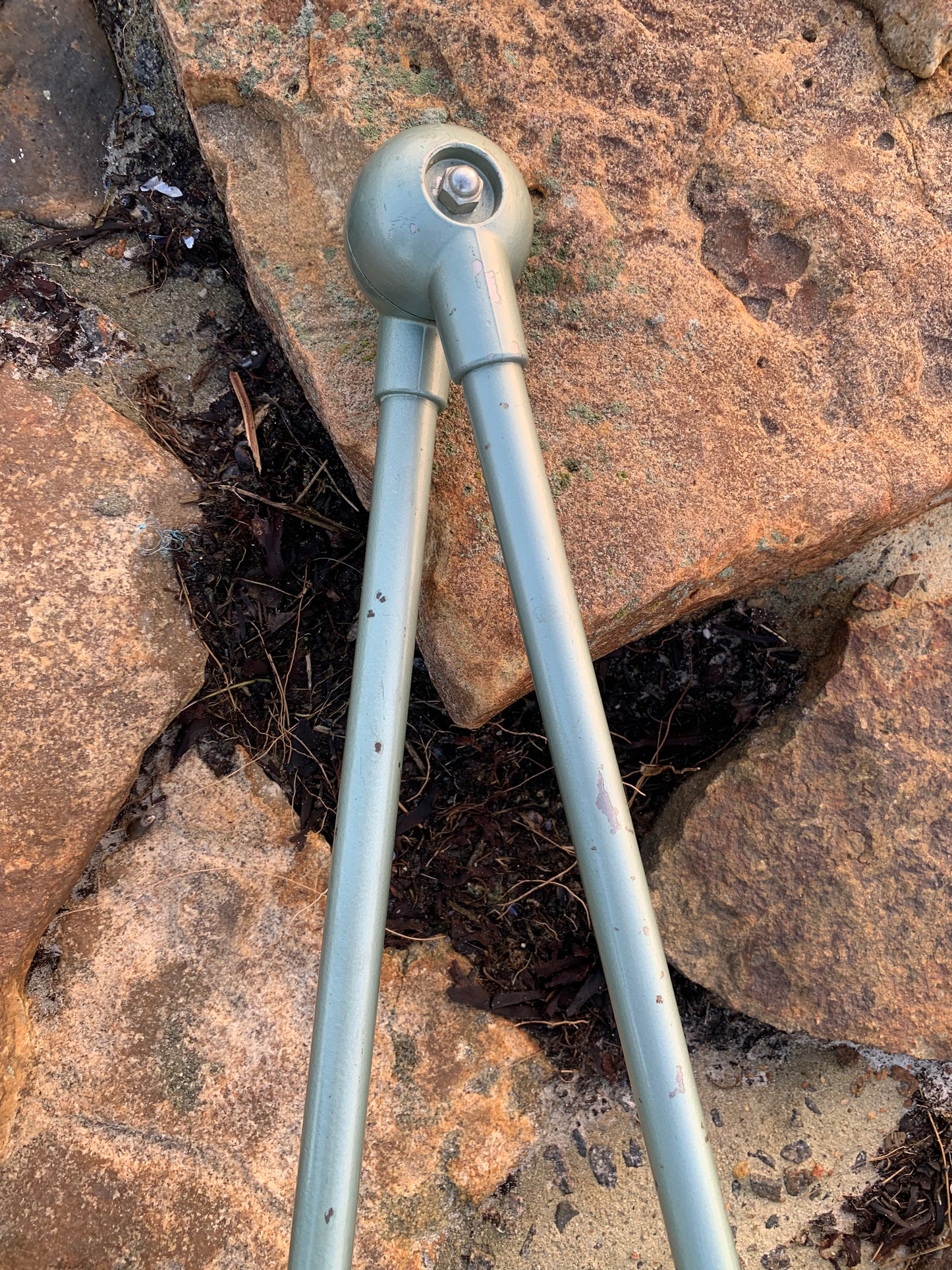 Jieldé Wand-/Deckenleuchte mit zwei Armen - Grün