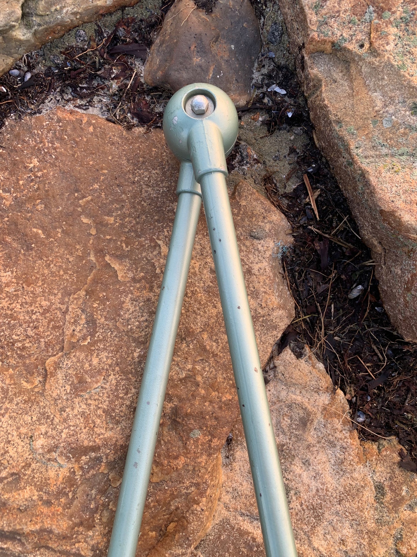 Jieldé Wand-/Deckenleuchte mit zwei Armen - Grün