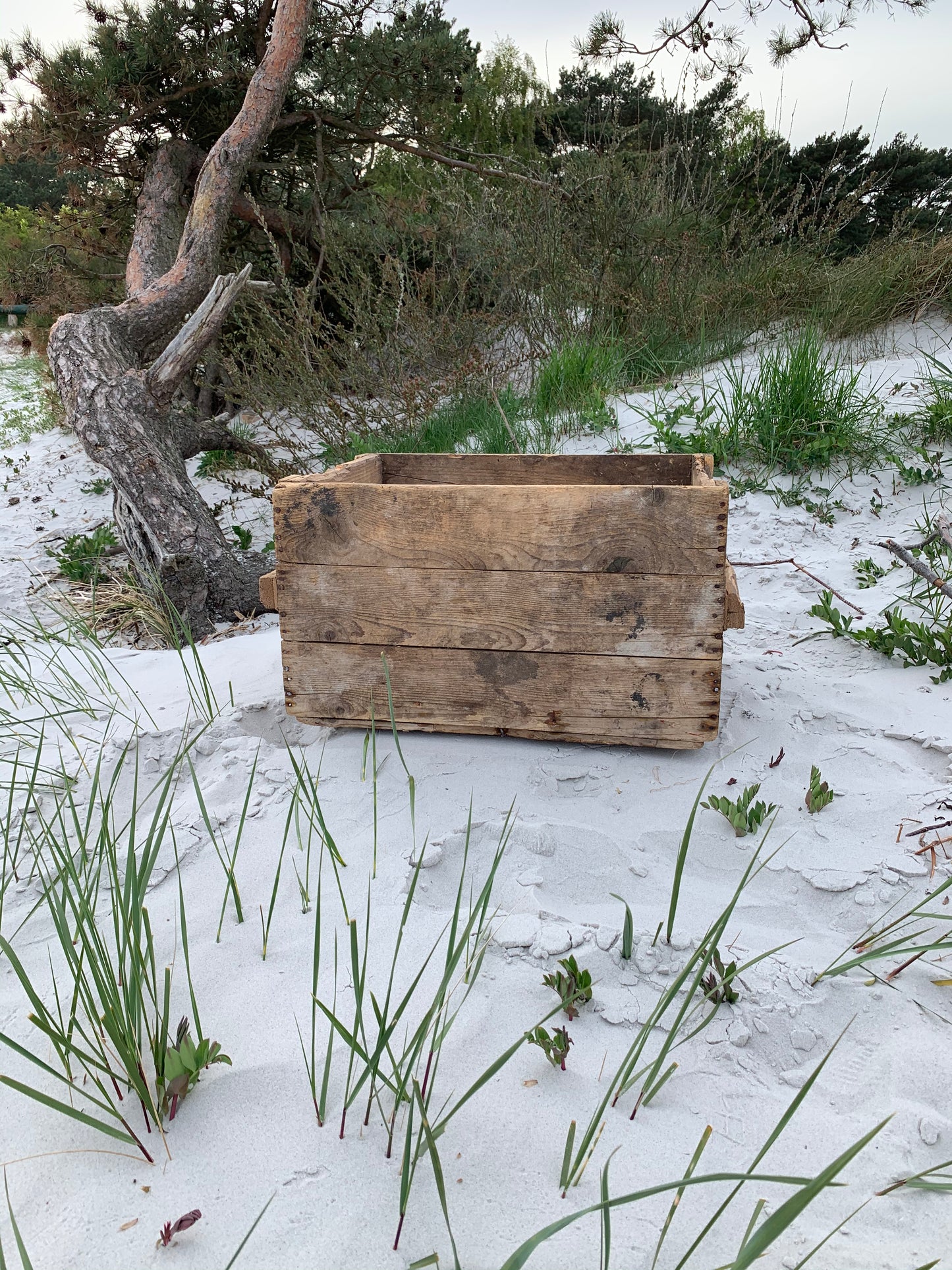 Große Holzkiste mit viel Patina