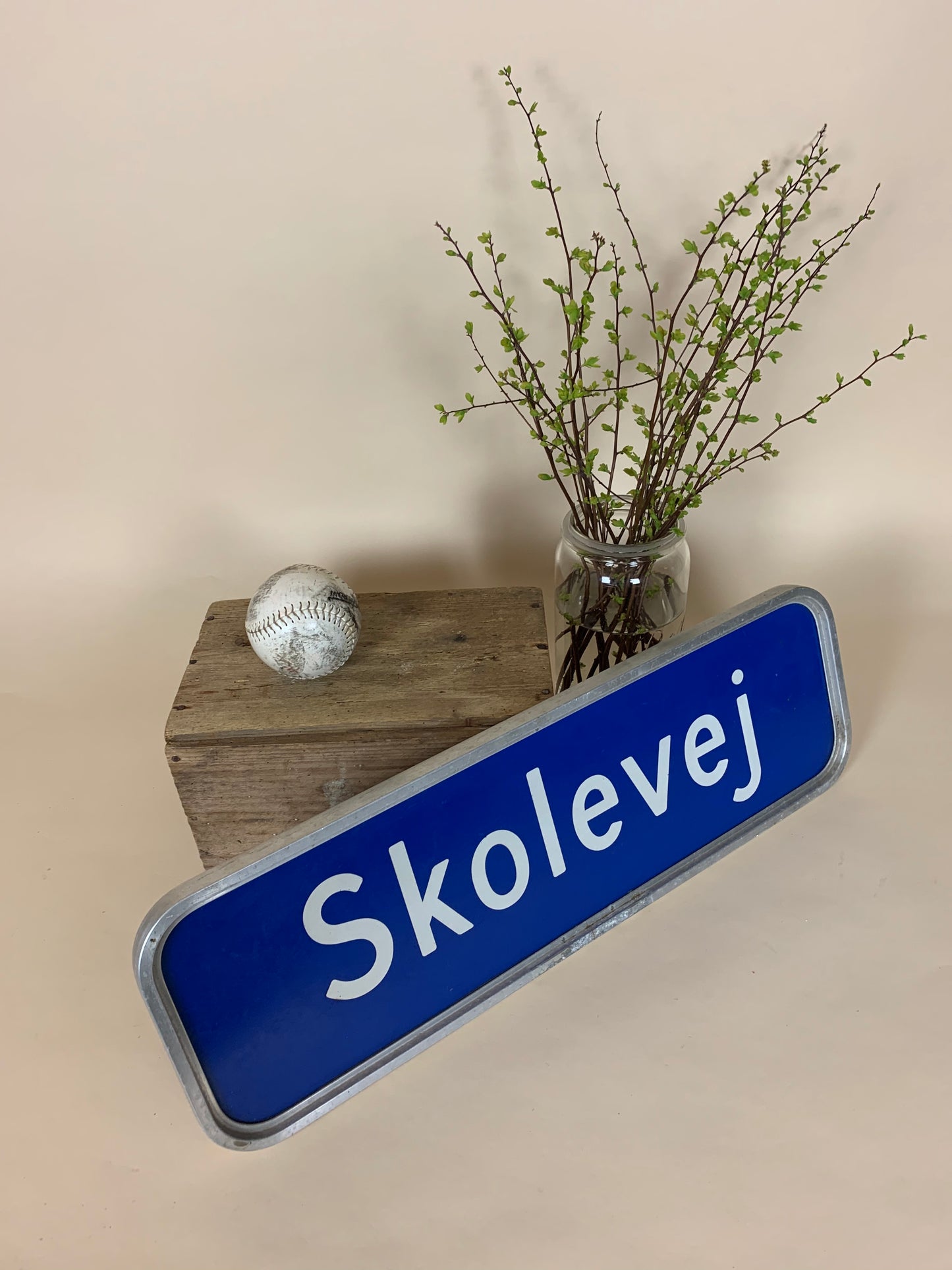 Straßenschild - Skolevej