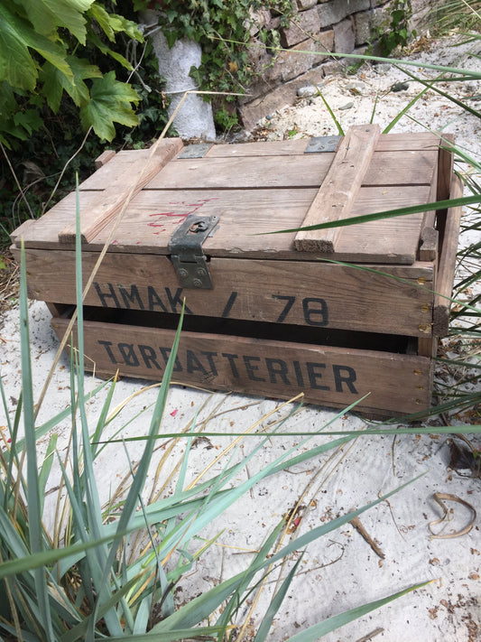 Batteriekasten aus Holz mit Deckel