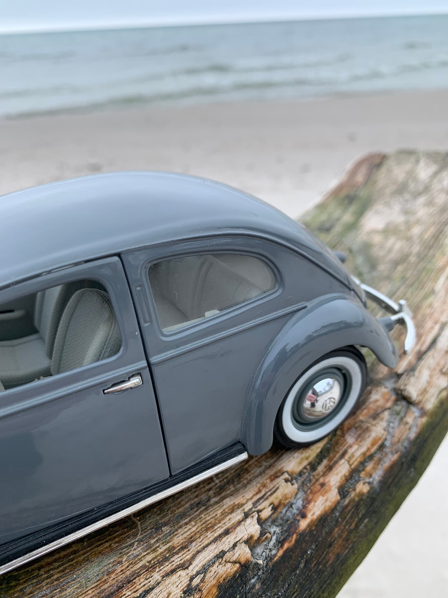 VW Export Limousine 1951