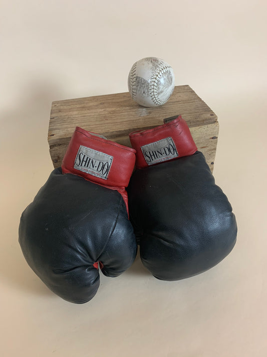 Boxhandschuhe