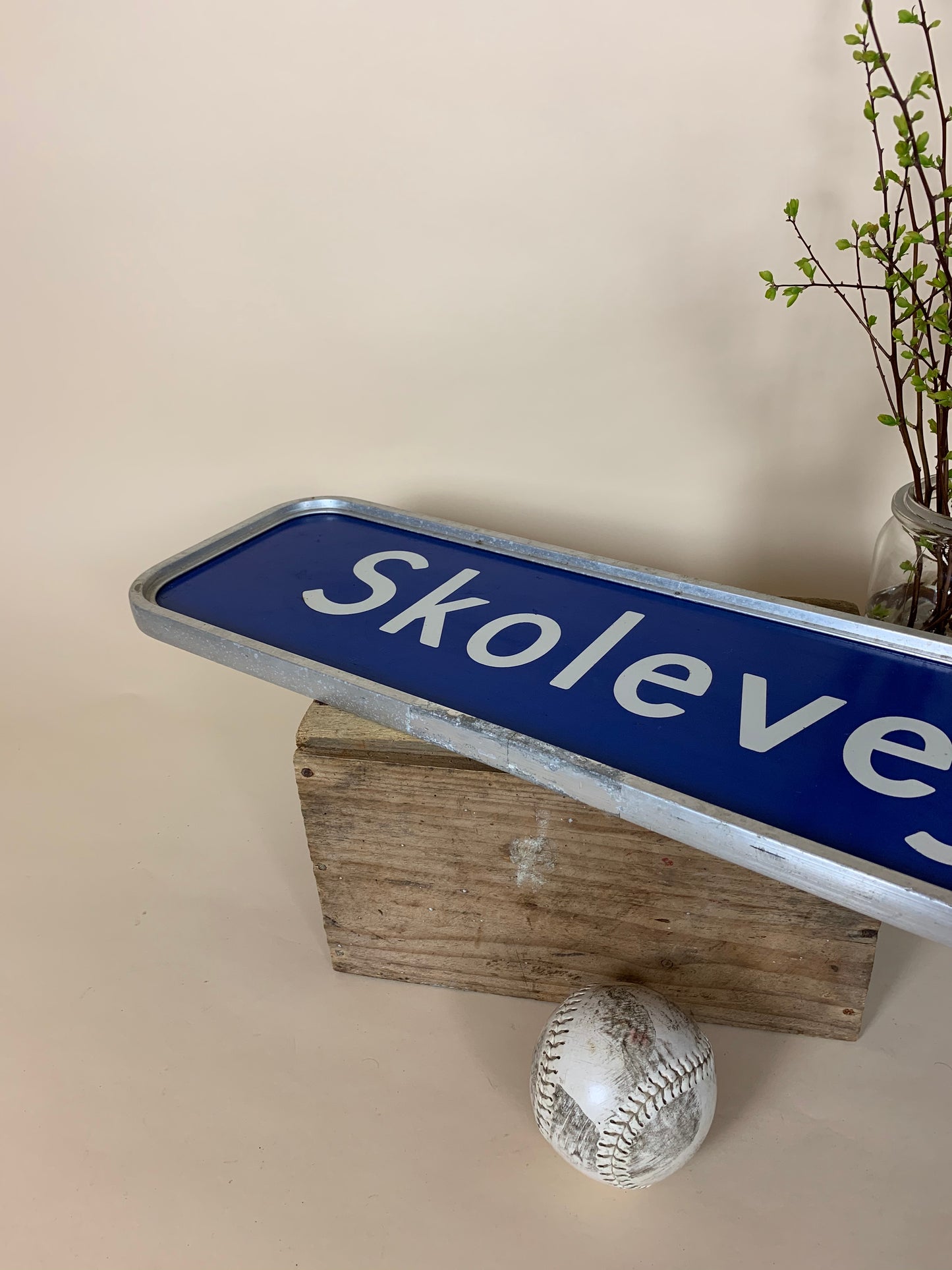 Straßenschild - Skolevej