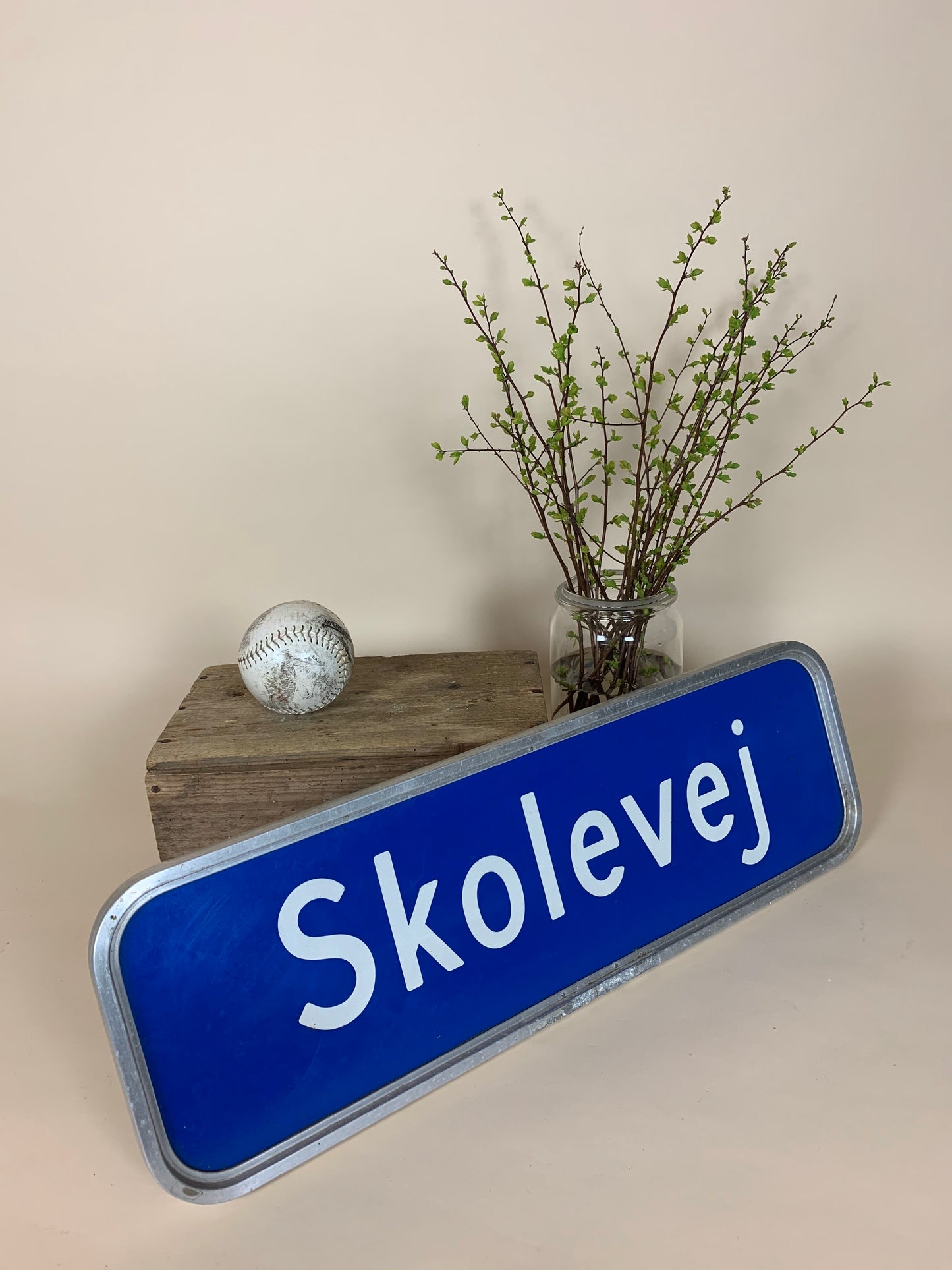 Straßenschild - Skolevej