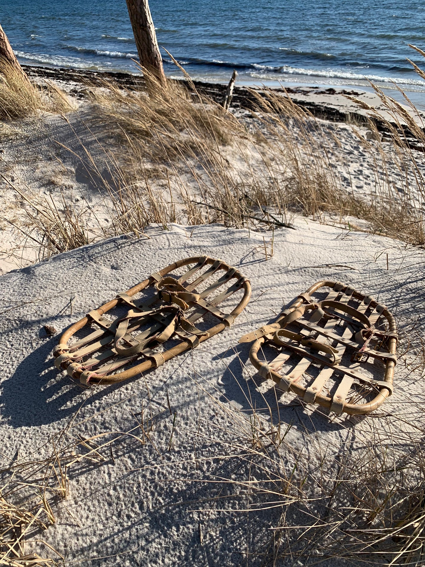 Dekorative Schneeschuhe