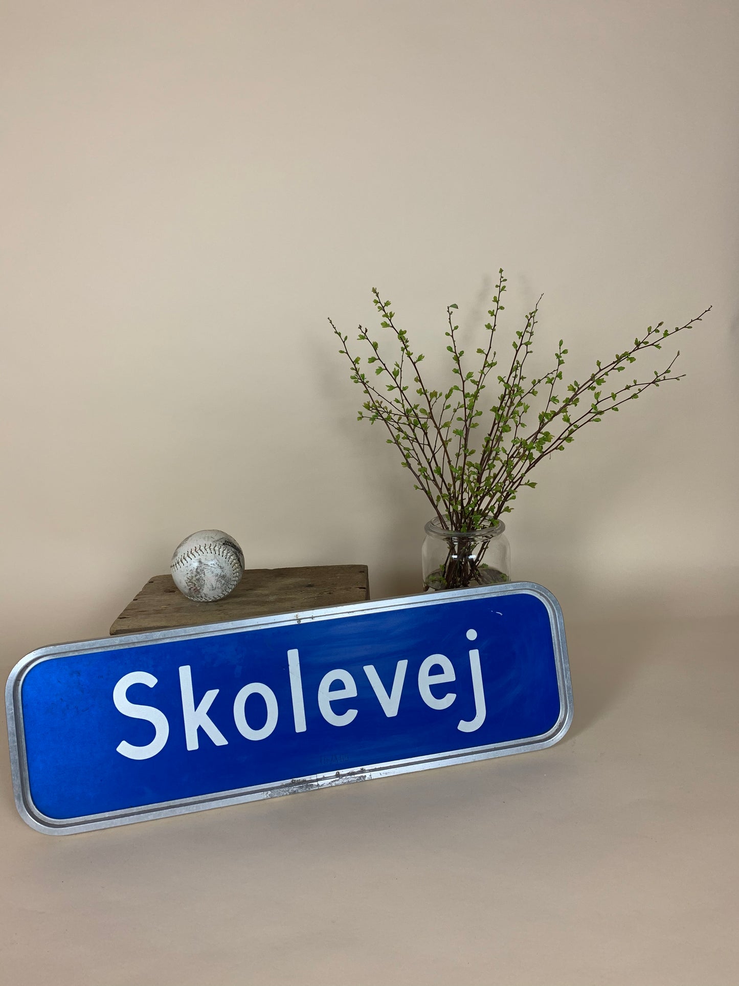 Straßenschild - Skolevej