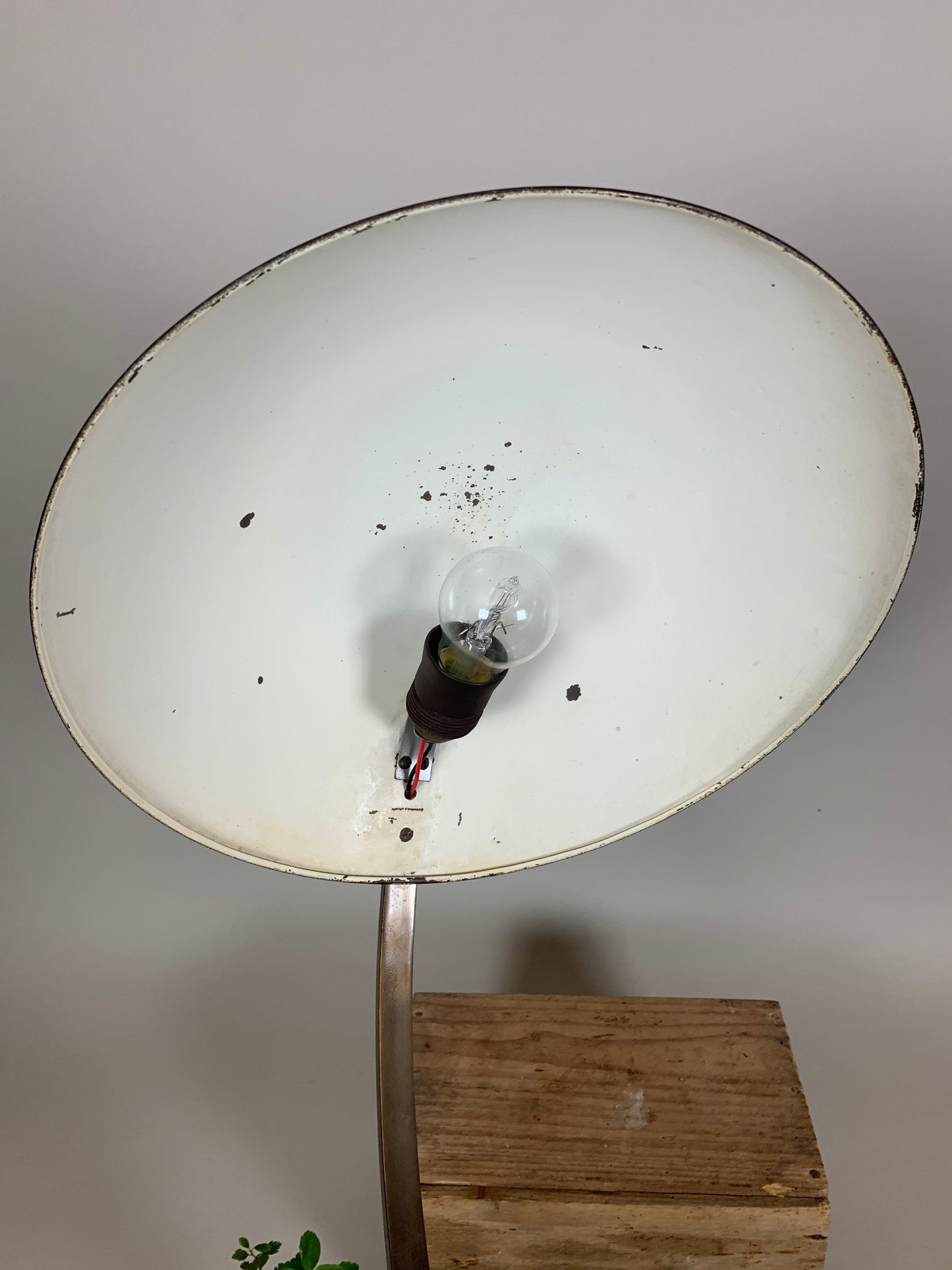 Escolux Tischlampe aus dunkel poliertem Messing