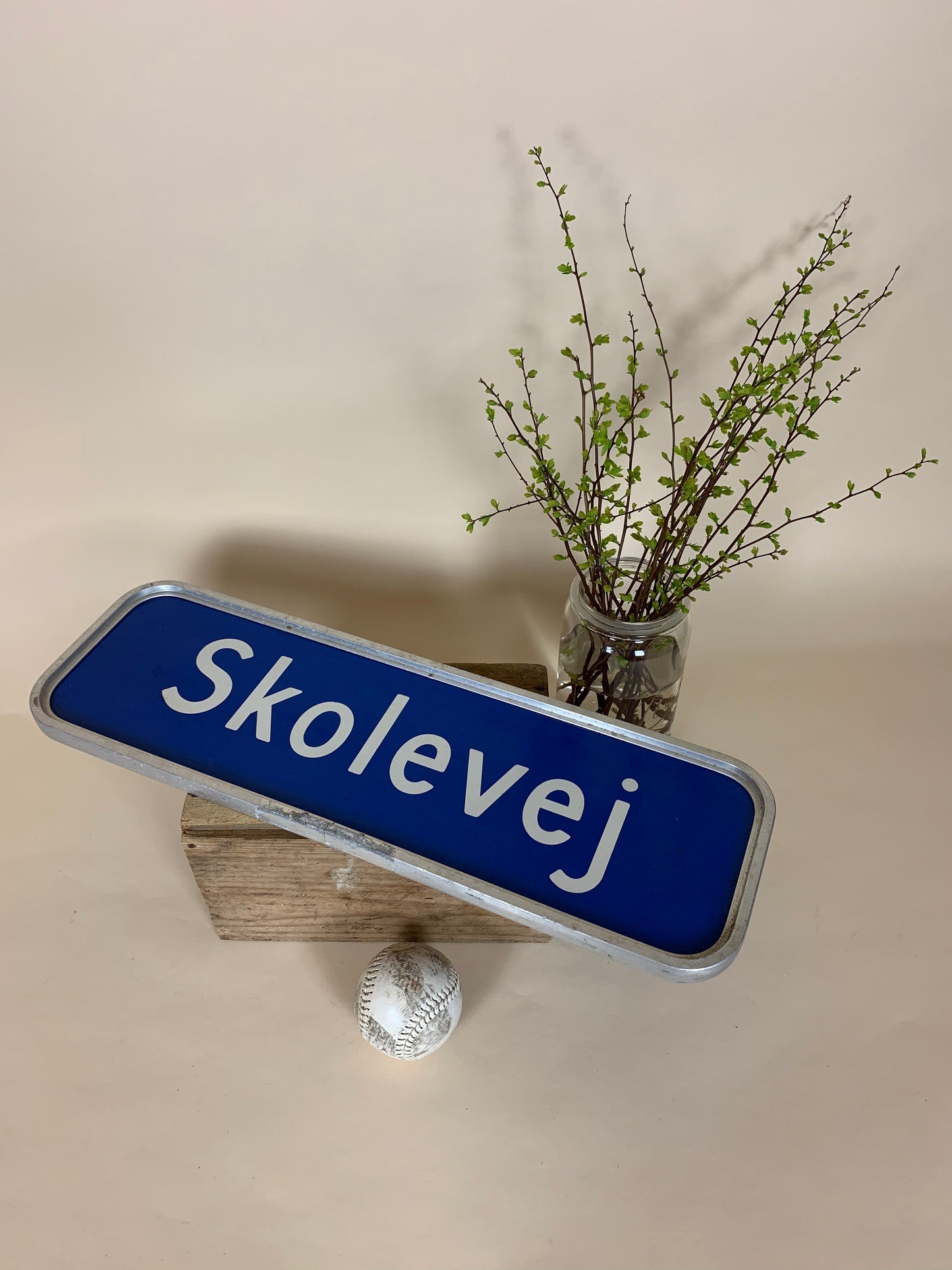 Straßenschild - Skolevej